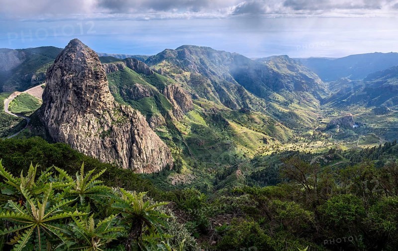 View of the Roque de Agando rock tower and the Barranco de Benchijigua gorge from the Mirador del Morro de Agando. Sow thistle (Sonchus hierrensis) in the foreground. During the day, sun and clouds, good weather. Monumento Natural de Los Roques, Reserva Natural Integral Benchijigua, La Gomera, Canary Islands, Spain, Europe