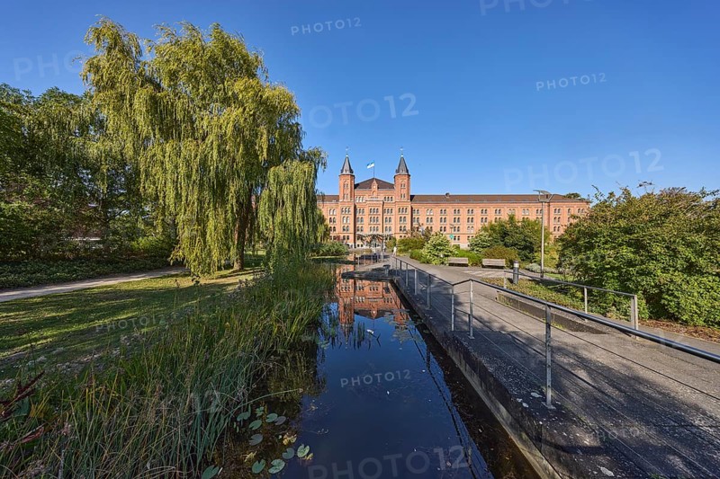 New town hall, park, trees, Babylon willow (Salix babylonica), footpath, pond, metal railing, blue sky, cloudless, street Am Französischen Garten, Celle, Lüneburg Heath, district of Celle, Lower Saxony, Germany, Europe