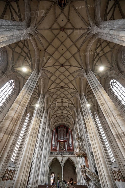 Interior with net vaulting and organ loft, organ built in 1997, late Gothic hall church of St George, Dinkelsbühl, Bavaria, Germany, Europe