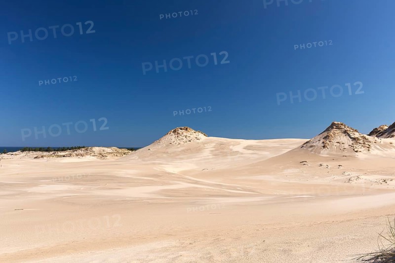Lacka Dune on a sunny day with a blue sky in the Slowinski National Park, northern Poland on the Baltic Sea coast. 42 metres high and moving at a rate of 3 to 10 metres per year
