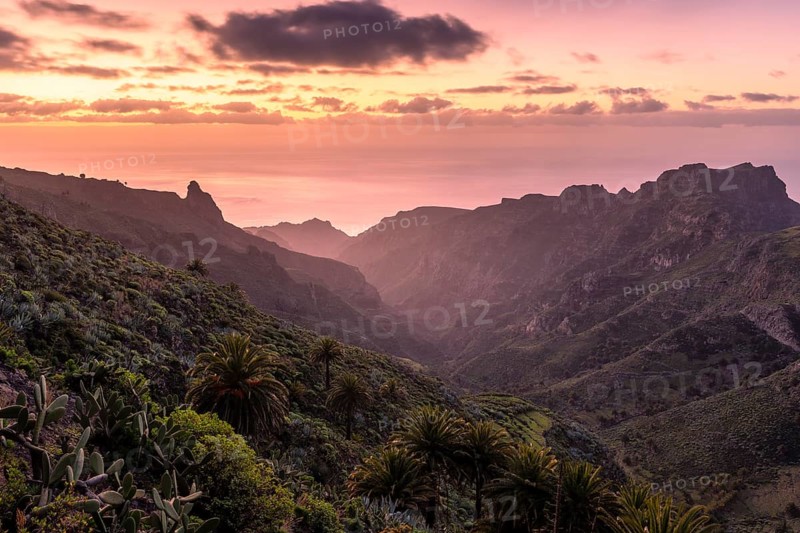 View of the Barranco Juan de Vera at sunrise. Mountains, palm trees, rocks and sea. Near Mirador Degollada de Peraza. La Gomera, Canary Islands, Spain, Europe