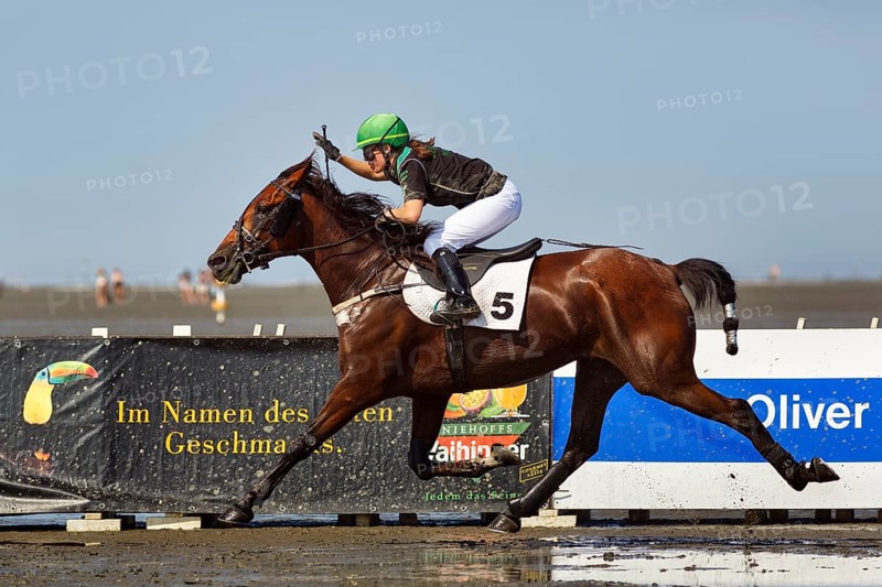 Rider, horsewoman, horse at a gallop, gallop race in the mudflats, Duhner Wattrennen 2019, Duhnen, Cuxhaven, UNESCO World Heritage Wadden Sea, North Sea, Lower Saxony, Germany, Europe