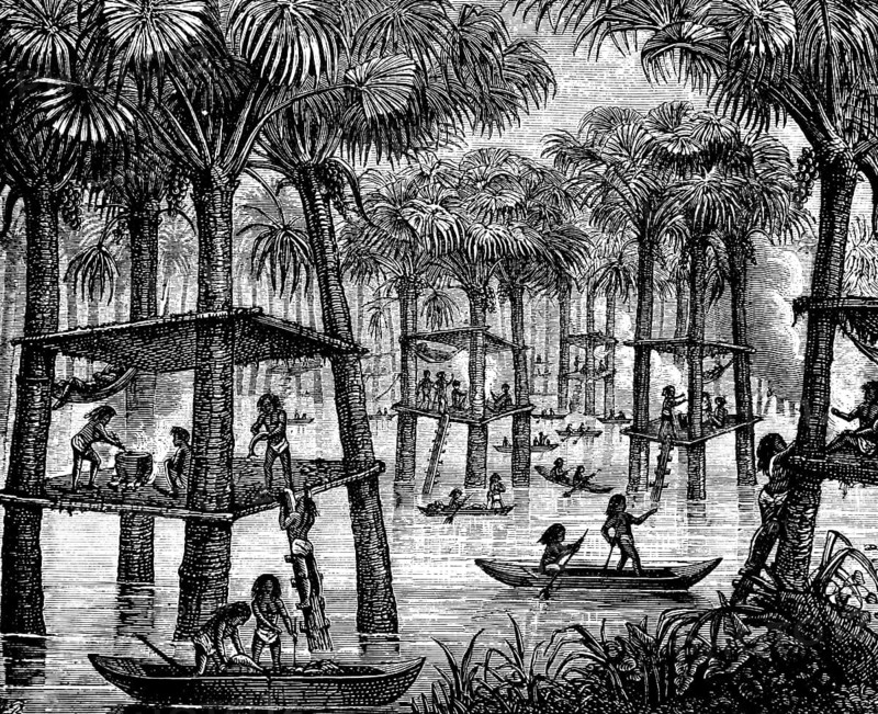 Indigenous people living in families on prehistoric pile dwellings in the Rio Orinoco, tropical landscape with palm trees, ladder to the dwellings, living levels attached to palm trees, means of transport is the canoe, history of mankind, Venezuela, historical illustration 1880, South America