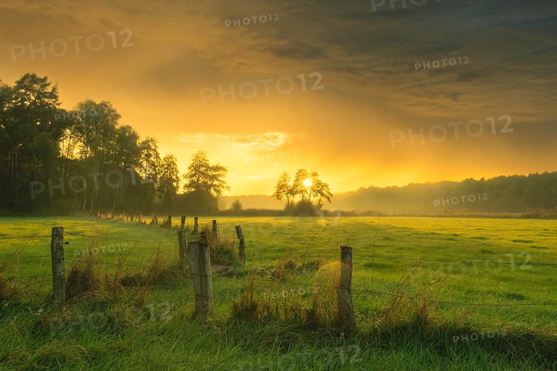 View of a wooden fence over green meadows at the edge of a forest with an intense sunset, Neustadt am Rübenberge, Hanover Region, Lower Saxony, Germany, Europe