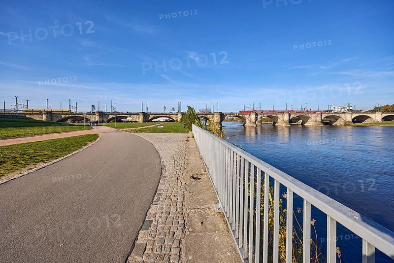Marienbrücke, river Elbe, Elbe riverbank, footpath and cycle path, metal railing, meadow, blue sky with veil clouds, New Terrace, Dresden, state capital, independent city, Saxony, Germany, Europe