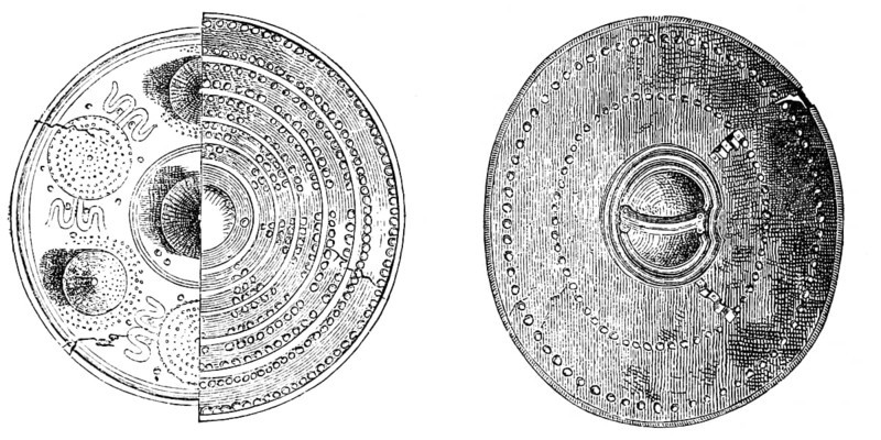 Bronze shields, bronze ore, rich ornamentation, craft, weapon, defence, war, fight, defence, history of mankind, historical illustration 1880