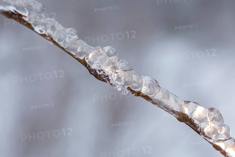Branch that is thickly covered with ice due to freezing rain