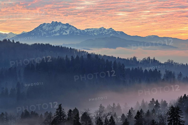 Foggy atmosphere in the light of the setting sun with a view of Mount Pilatus, Canton Zug, Switzerland, Europe