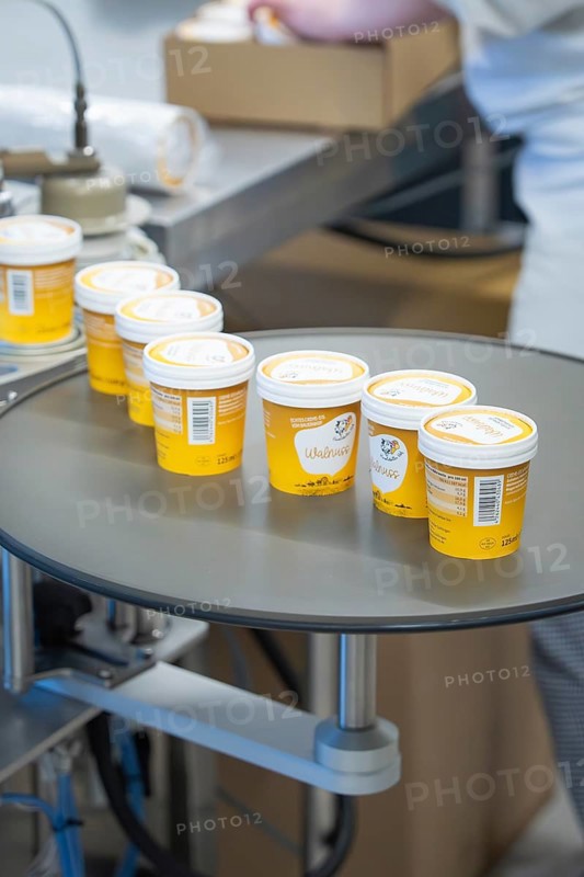 Filled yellow ice cream cups on a turntable in production, ice cream production Haselstaller Hof, Calw district, Black Forest, Germany, Europe
