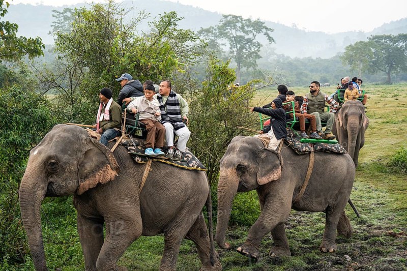 Tourists ride elephants during a safari at Kaziranga National Park on December 5, 2024 in Kaziranga, India. Kaziranga National Park, in Assam is a UNESCO World Heritage Site renowned for its biodiversity