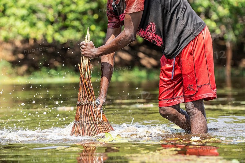 Fisherman pushing his basket with force into the water to the ground for catching fish with his basket in the river. Kalabo, Zambia, Africa