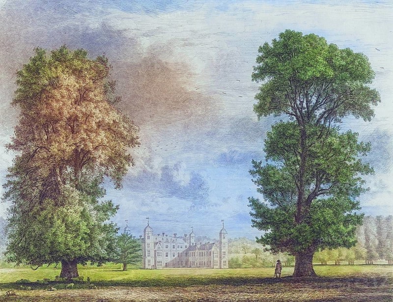 Famous old trees, The plane tree and the lime tree in Cobham Park, a former parkland and villa between the villages of Cobham and Downside in Surrey, England, Historic, digitally restored reproduction from a 19th century original, coloured, Record date not stated