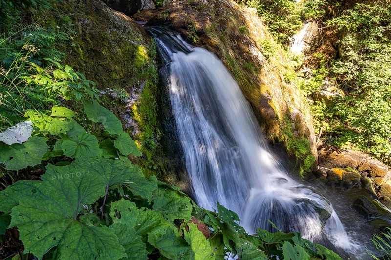 The Triberg Waterfalls, Triberg in the Black Forest, Baden-Württemberg, Germany, Europe