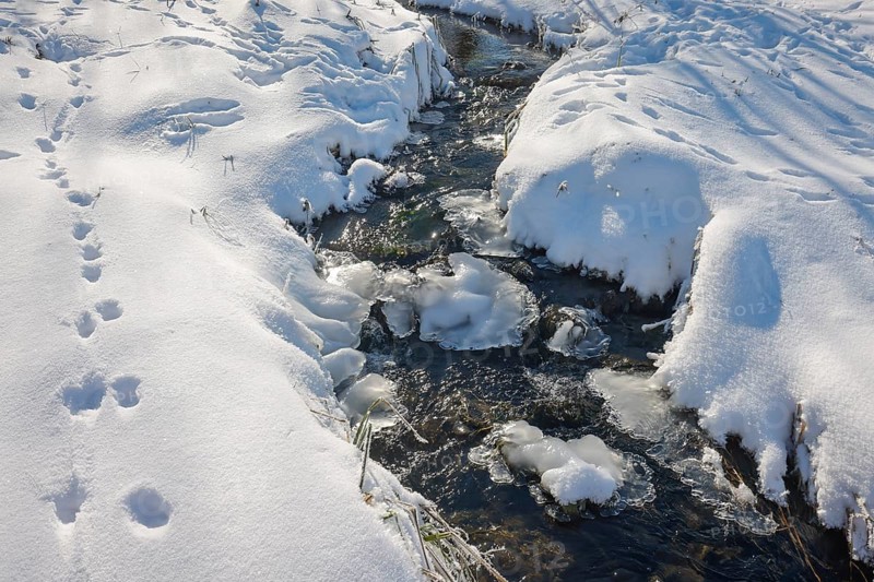 Bochum, North Rhine-Westphalia, Germany - Sunny winter landscape in the Ruhr area, ice and snow on the renaturalised Goldhammer Bach, the stream has been transformed into a near-natural watercourse, the Goldhammer Bach flows into the Emscher via the Hüller Bach, is part of the Emscher river system and thus part of the Emscher conversion, was previously an open, above-ground wastewater channel, mixed water channel with surface water and wastewater, animal tracks in the snow