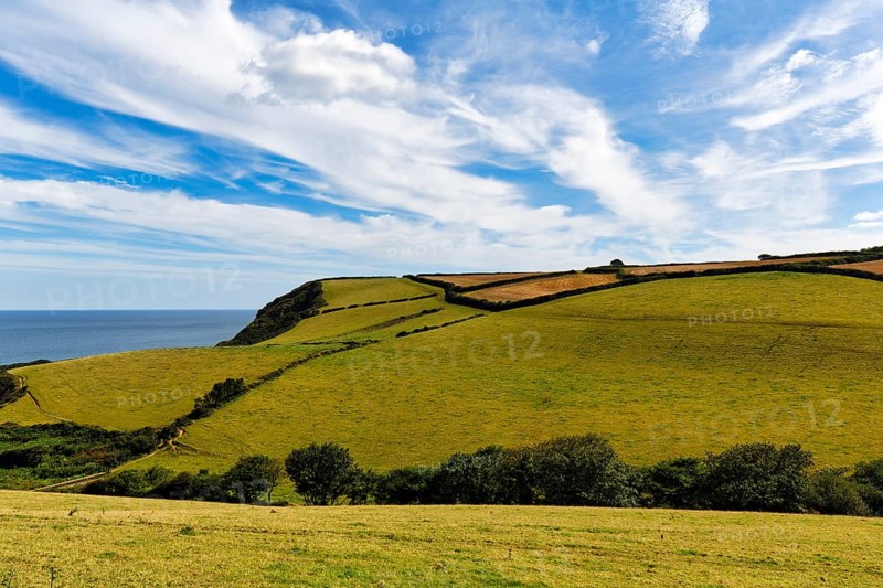 Hilly landscape with fields, meadows, hedges by the sea, spring clouds in summer, Cirrus, Cornwall, England, Great Britain