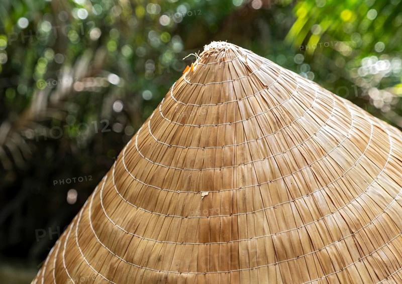 Close-up of Traditional Vietnamese Conical Hat, Mekong Delta, Vietnam, Asia