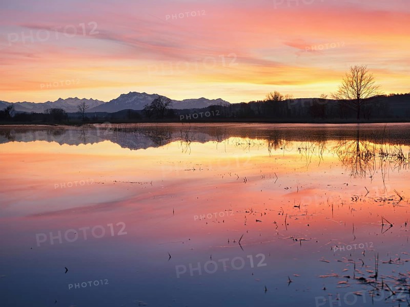 Pilatus reflected in the flooded nature reserve in the evening light, Reussspitz, Hünenberg, Canton Zug, Switzerland, Europe