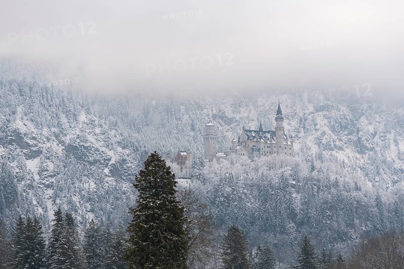 Snow-covered castle lies in a misty winter landscape, surrounded by dense forests, Neuschwanstein, Schwangau, Ostallgäu, Allgäu, Swabia, Upper Bavaria, Bavaria, Germany, Europe
