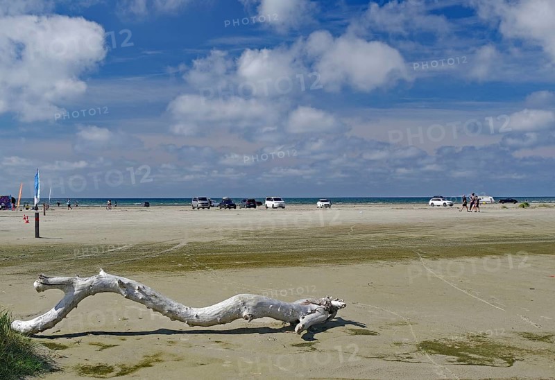 Spacious beach with driftwood under a cloudy sky, North Sea, Fanö, North Jutland, Jutland, Denmark, Europe