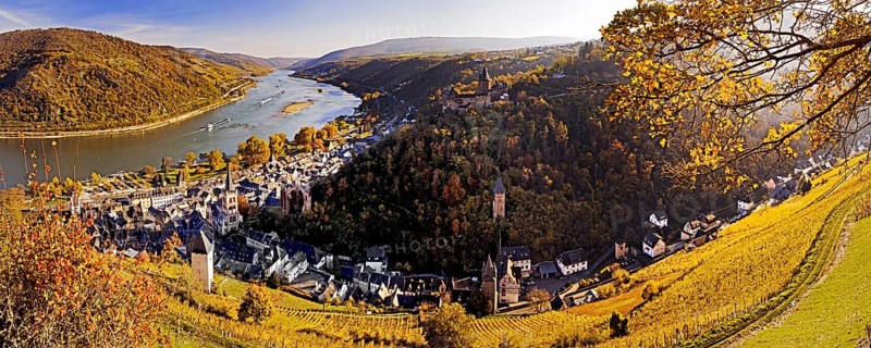 View of Bacharach and the Rhine in autumn, UNESCO World Heritage Upper Middle Rhine Valley, Rhineland-Palatinate, Germany, Europe