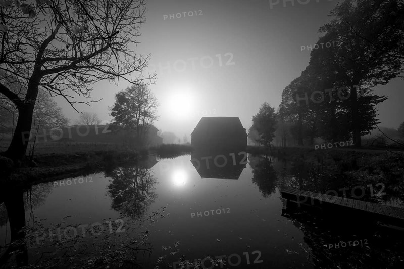 Morning sun over the estate pond on a foggy morning at Gut Othenstorf, Othenstorf near Rehna, Mecklenburg-Vorpommern, Germany, Europe