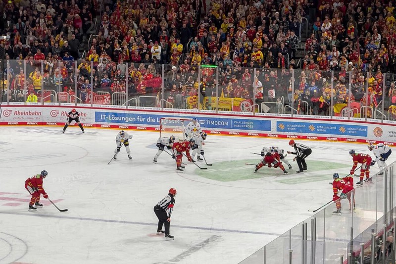 Players and referee in line-up for face-off during ice hockey in multifunctional hall, in the background fan curve with spectators fans, Düsseldorf, North Rhine-Westphalia, Germany, Europe