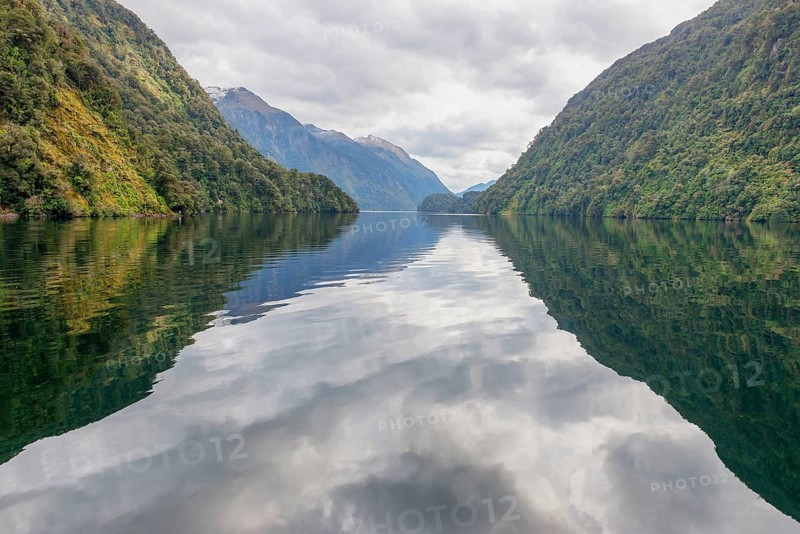 Doubtful Sound, Fiordland National Park, South Island, New Zealand, Oceania
