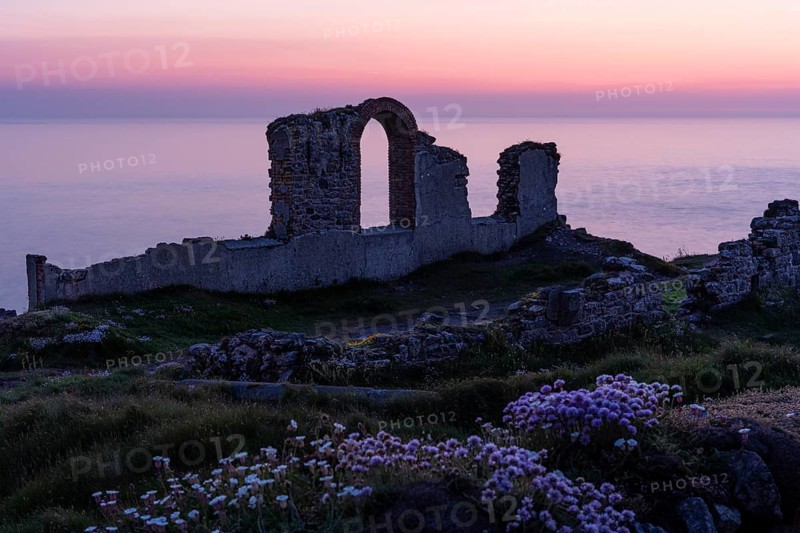 Ruins in the Botallack Mine, also known as Crown Mine. Beach carnations (Armeria maritima) in bloom in front. In the evening after sunset. Botallack, Penzance, Cornwall, England, Great Britain