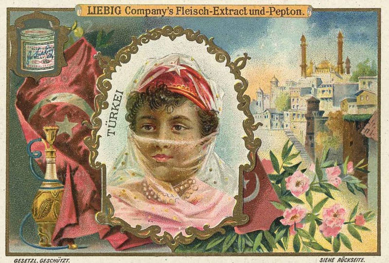 Series Children from foreign countries, Turkey, Liebig picture, digitally restored reproduction of a collector's picture from ca 1900, public domain, exact date unknown, portrait of a woman with headscarf in front of Turkish architecture and flowers, Asia