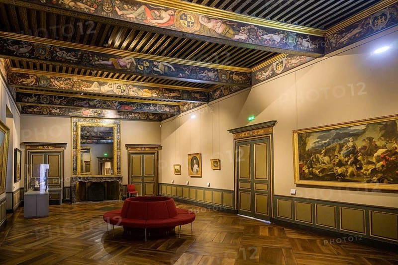 Historical paintings and painted wooden ceiling in the Palais de la Berbie, Albi, Département Tarn, France, Europe
