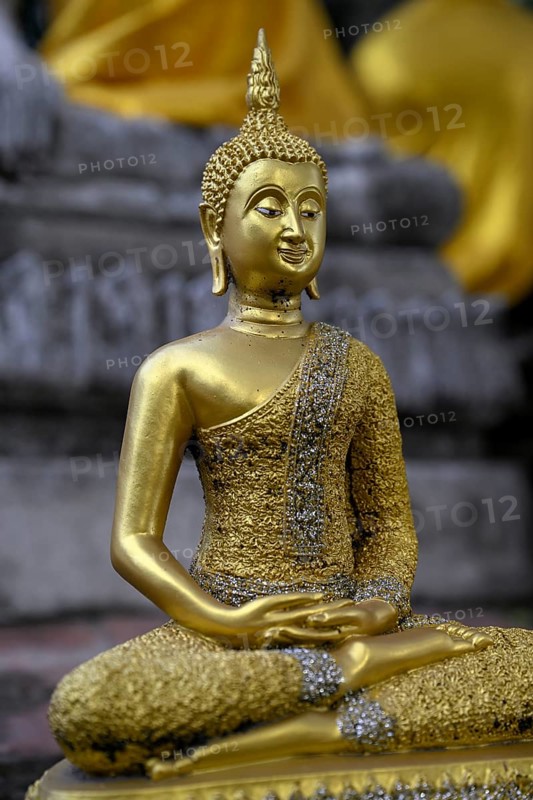Buddha statue in Wat Yai Chai Mongkhon, Buddhist temple, Ayutthaya, Ayutthaya province, Thailand, Asia