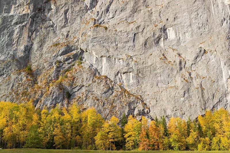 Gößler Wand in autumn. It is a rockwall of 180 m height between the lakes Toplitzsee and Grundlsee. Salzkammergut, Styria, Austria, Europe