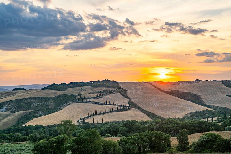 Typical Tuscan landscape in Val d'Orcia with hills, trees, fields, cypresses and farm road in autumn at sunset, La Foce, Tuscany, Italy, Europe
