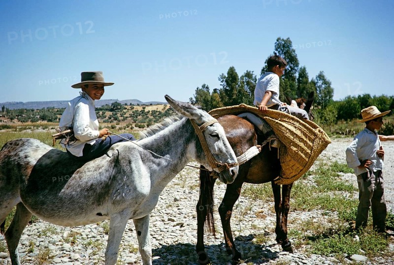 Boys riding donkeys in the countryside near Arcos de la Frontera, province of Cádiz, Spain 1964