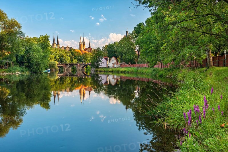 Merseburg Cathedral and Merseburg Castle reflected in the Saale River in the morning light, wildflowers on the banks, Merseburg, Saxony-Anhalt, Germany, Europe