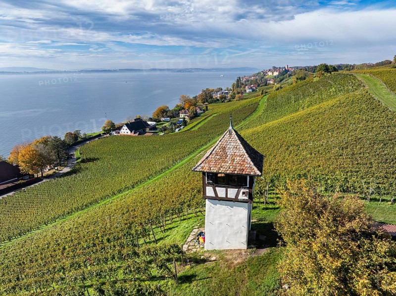 Aerial view of a vineyard, vineyard slope with winery tower at the historic Haltnau winery near Meersburg with a view of Lake Constance, Lake Constance district, Baden-Württemberg, Germany, Europe