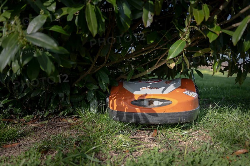 Mowing robot, lawn mower, Stihl, orange and white, under a cherry laurel bush, standing on lawn, danger for hedgehogs, North Rhine-Westphalia, Germany, Europe