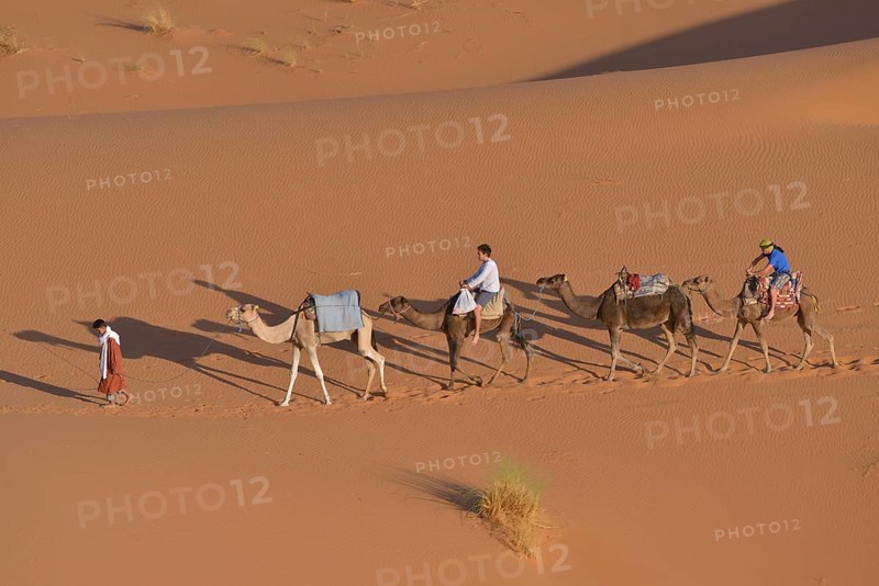 Tourists riding camels in the dunes, Sahara, Meknès-Tafilalet region, Morocco, Africa