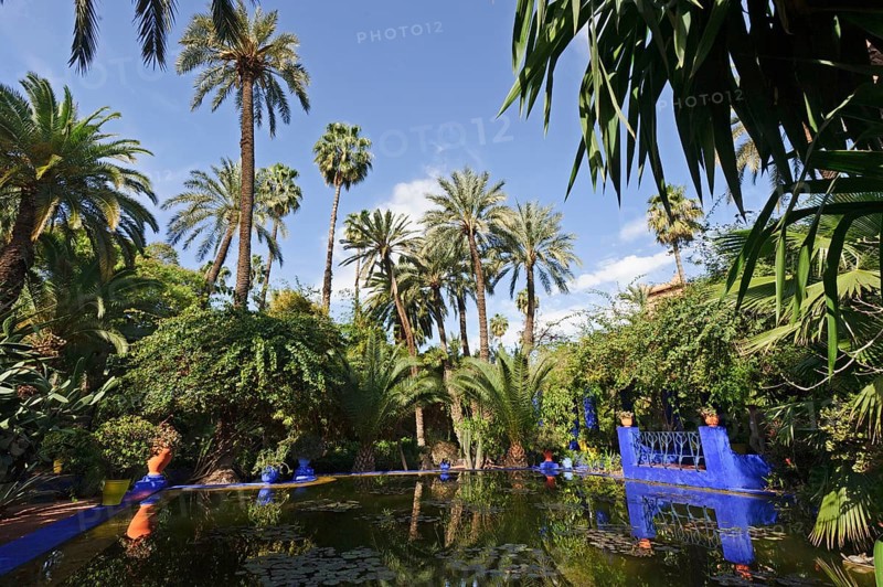 Morocco, Jardin Majorelle Botanical Garden in Marrakech, Africa
