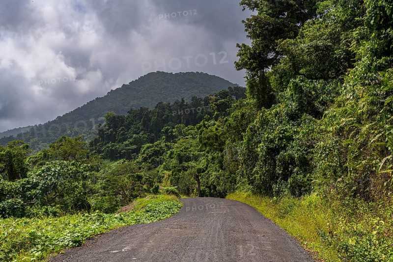 Dirt road, Taveuni, Fiji, South Pacific, Oceania