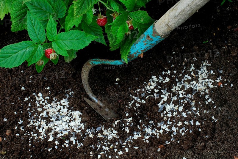 Horn shavings, fertiliser, manure, fertiliser, natural fertiliser