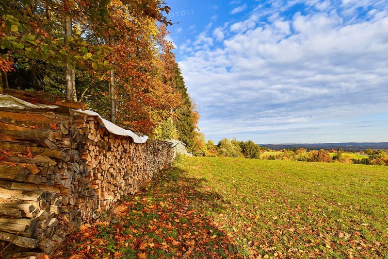 Dried firewood on a meadow at edge of German Odenwald forest with colorful autumn leaves