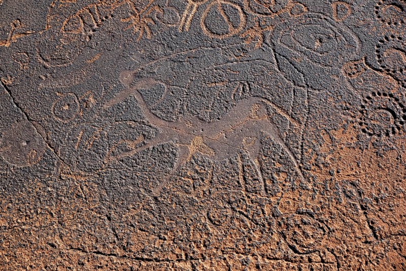 Rock engraving of the Dancing Kudus, Twyfelfontein, Unesco World Heritage Site, Kunene Region, Namibia, Africa
