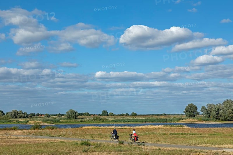 Cyclist, Elbe Cycle Route, Elbe, Hitzacker, Elbtalaue, Lower Saxony, Germany, Europe