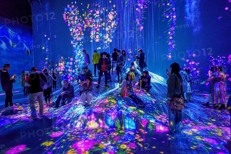 Digital Art Museum, Epson Team Lab Borderless, Odaiba Island, Tokyo, Japan, Asia