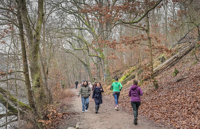 Strollers, walk around the wintry Schlachtensee, Steglitz-Zehlendorf, Berlin, Germany, Europe