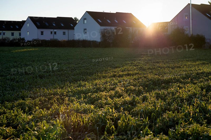 Apartment blocks, terraced houses, Steinhaldenfeld housing estate, vegetable field in front, agriculture, farming, agriculture, sunset, evening mood, Stuttgart, Baden-Württemberg, Germany, Europe
