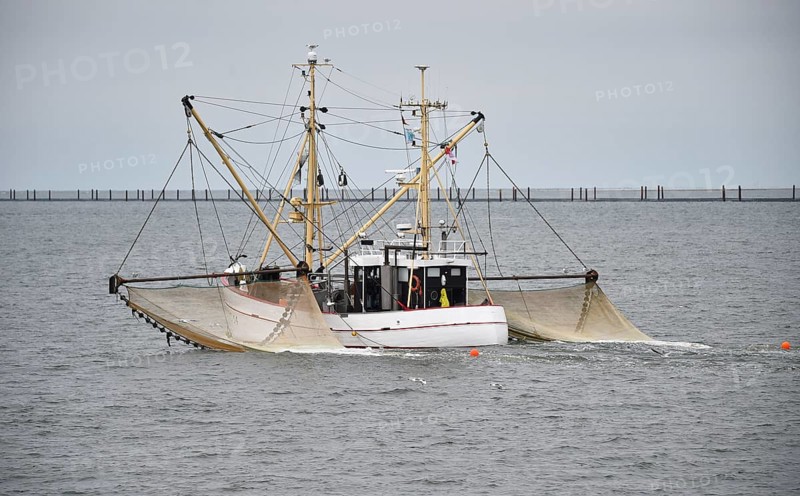 Crab cutter on a fishing trip in the Wadden Sea, Germany, Europe