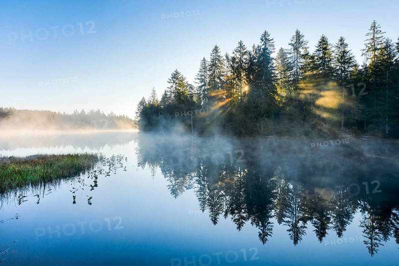 Sunrise over the mirror-smooth mire lake Étang de la Gruère in the canton of Jura, Switzerland, Europe