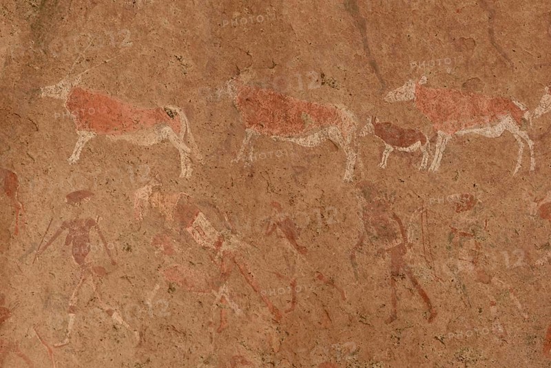 Rock paintings, Tsisab gorge, Brandberg, Erongo region, Namibia, Africa